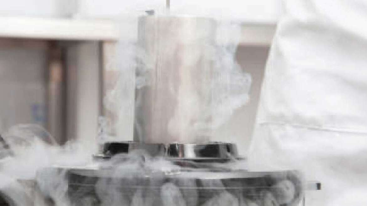 Embryo Freezing