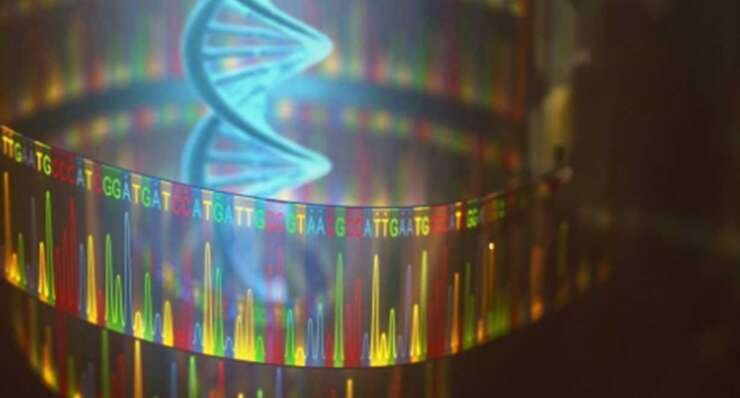 NGS (Next Generation Sequencing)