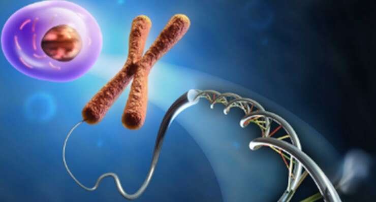 PGT – Preimplantation Genetic Testing