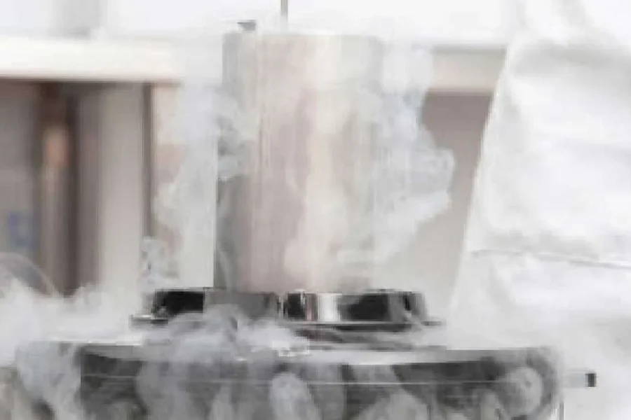 Embryo freezing and vitrification procedure