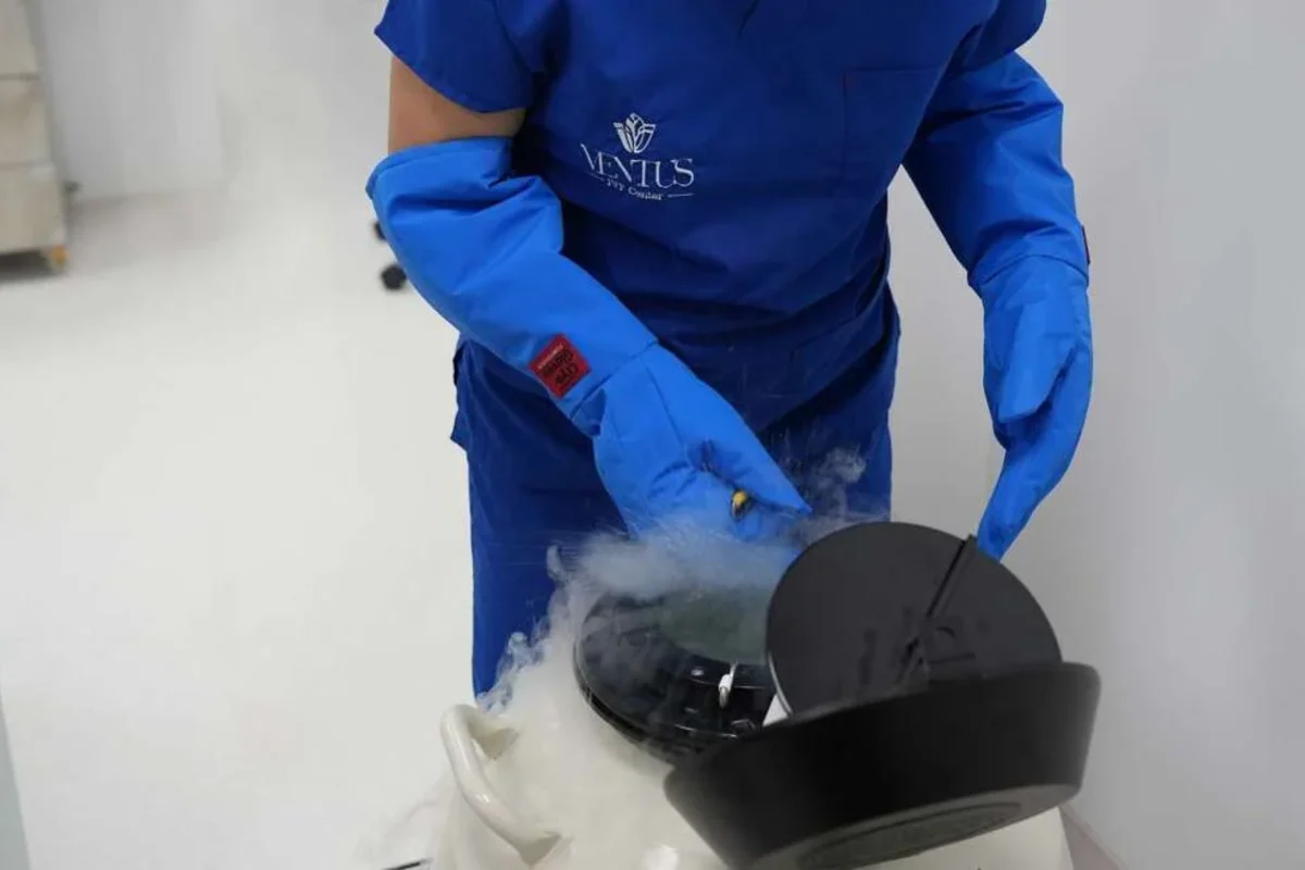 Cryopreservation laboratory for egg freezing