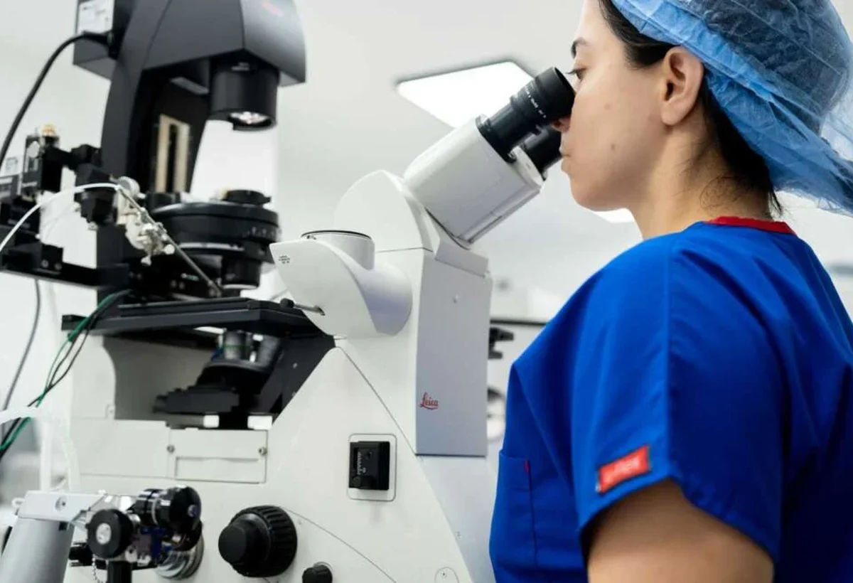 Ventus IVF embriyoloji laboratuvarında mikroskop çalışması