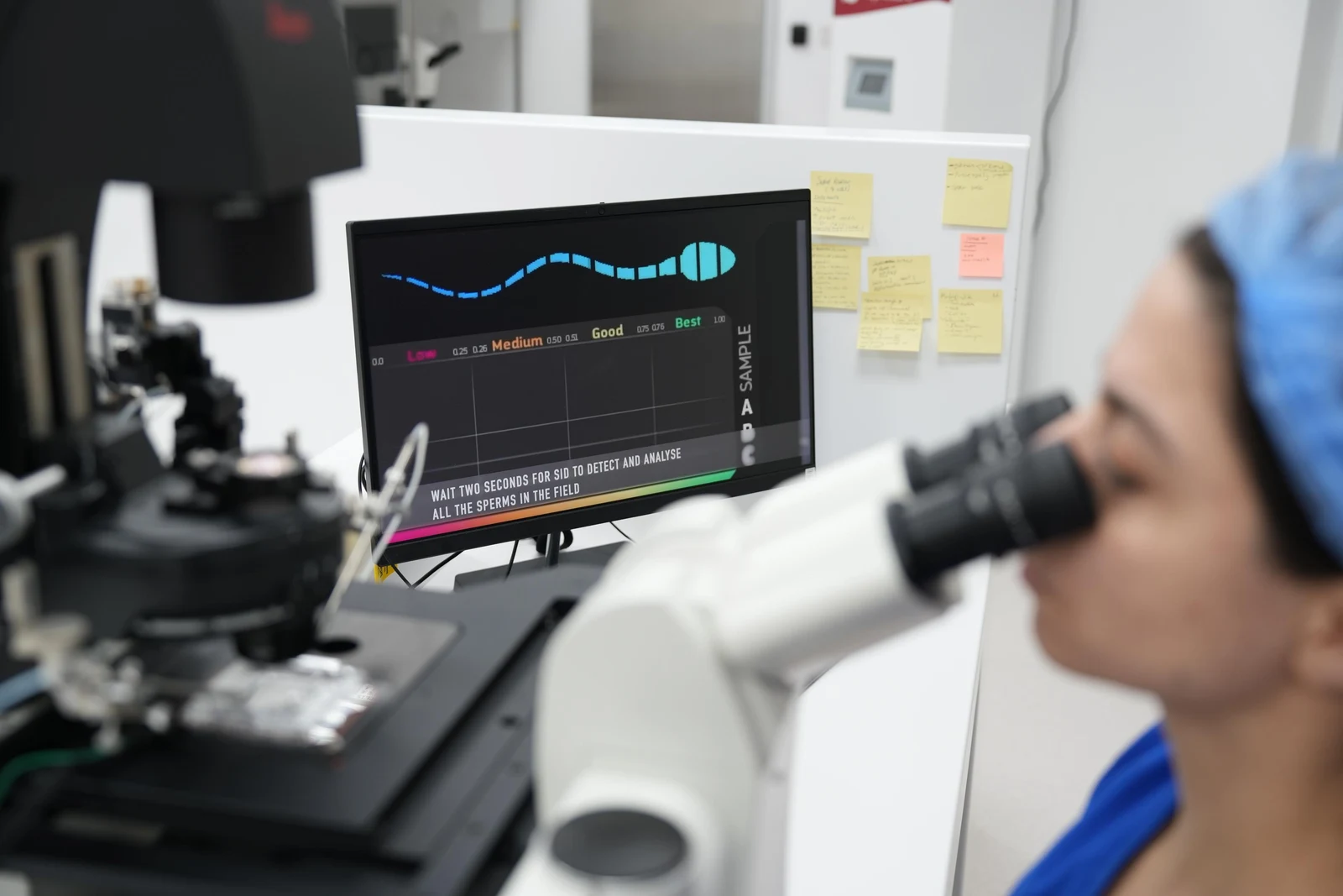 IUI cost Cyprus 2027 – Embryology laboratory and technology